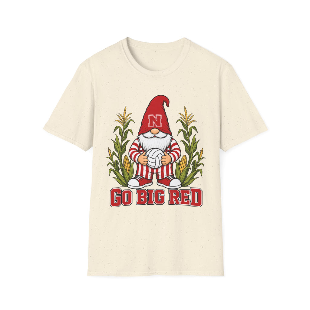 Big Red Volleyball