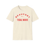 Beaufort Since Tidal Wave