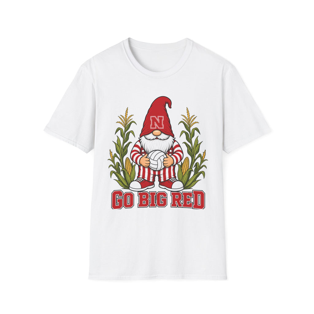 Big Red Volleyball